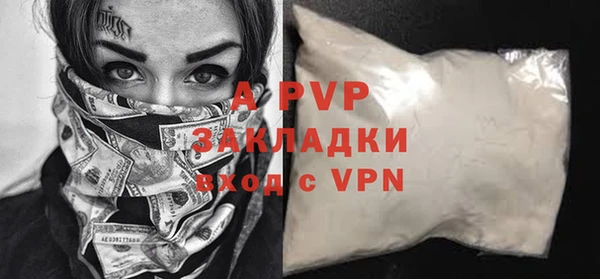 шишки Богородицк