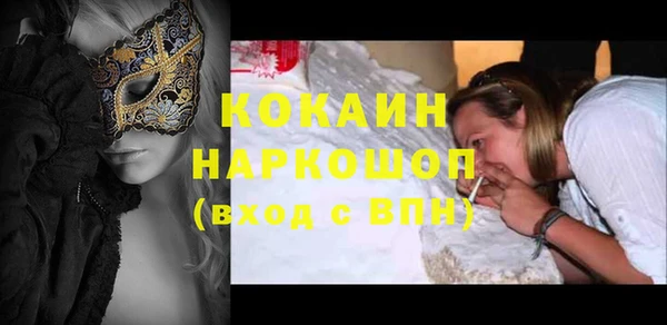 молекула духа Богданович