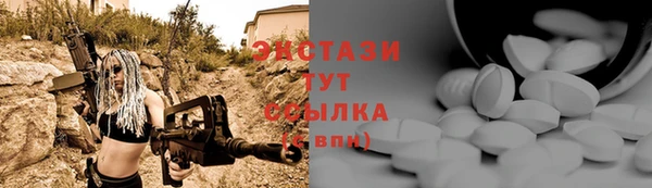 молекула духа Богданович