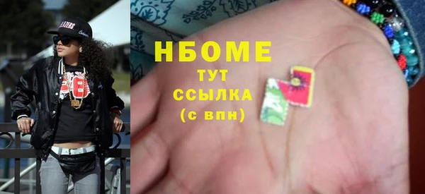 молекула духа Богданович