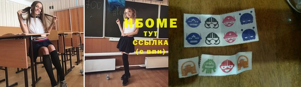 молекула духа Богданович