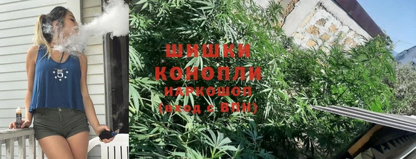 спиды Богородск