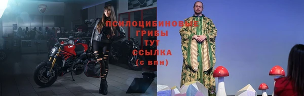 спиды Богородск