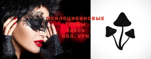 молекула духа Богданович