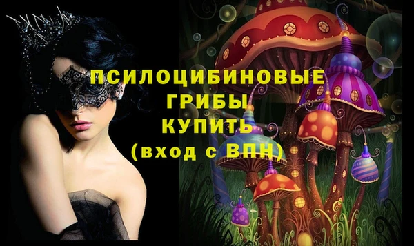 спиды Богородск