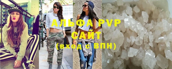 шишки Богородицк