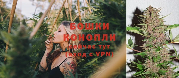 спиды Богородск