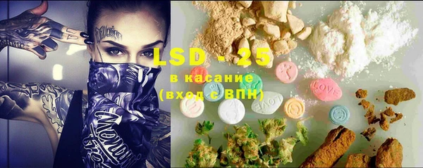 молекула духа Богданович