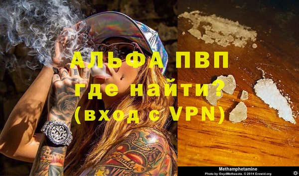 молекула духа Богданович