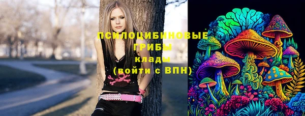 спиды Богородск
