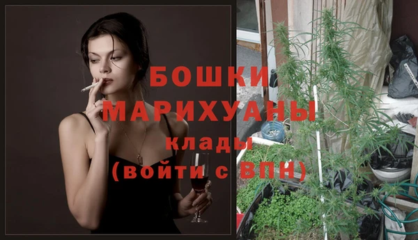 спиды Богородск