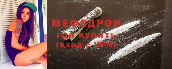 молекула духа Богданович