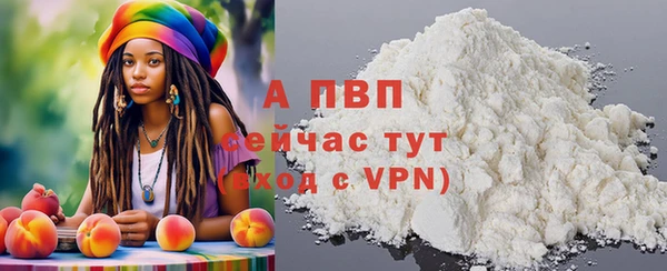 спиды Богородск