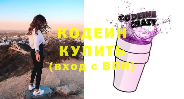 шишки Богородицк