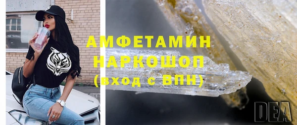 молекула духа Богданович