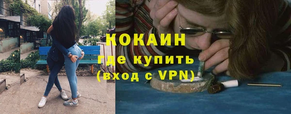 шишки Богородицк